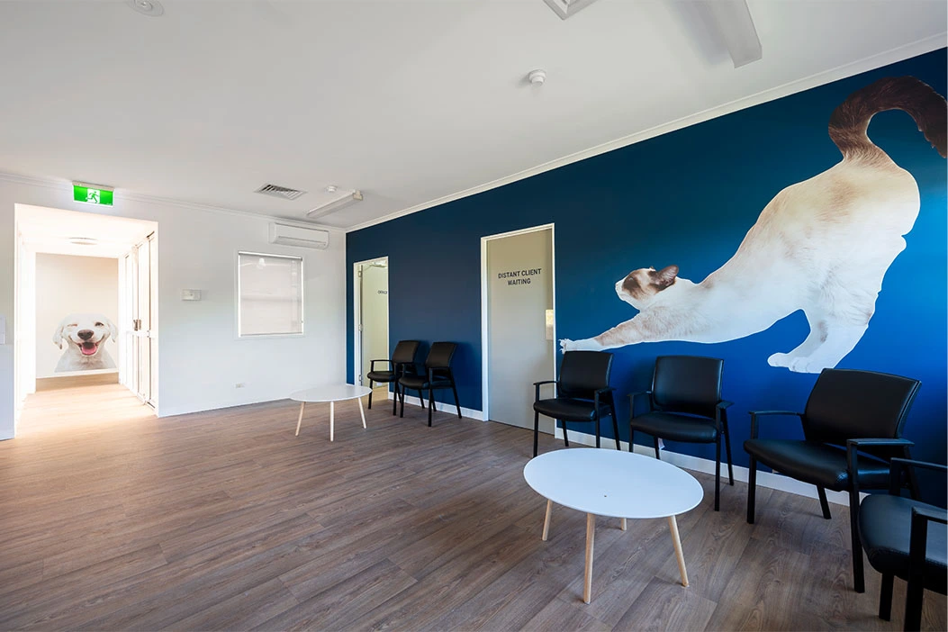 Clinic waiting area