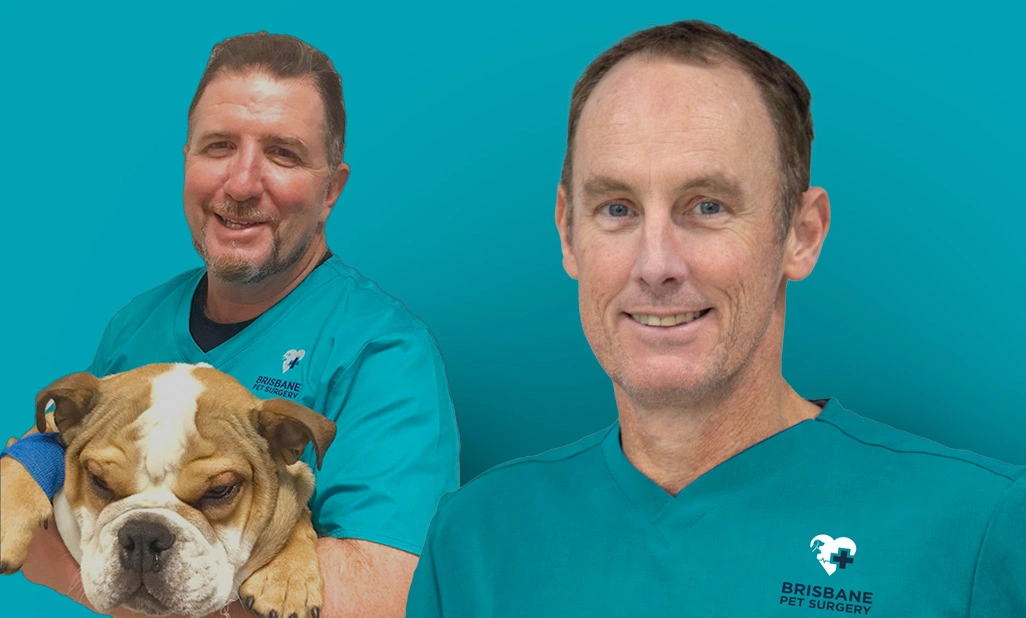 Meet the Team