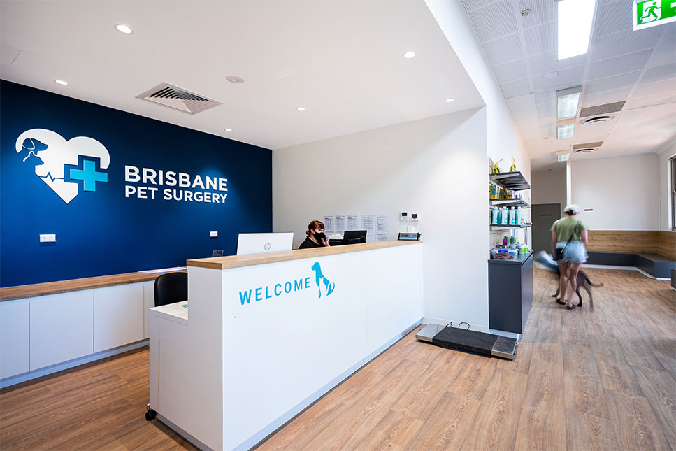 Brisbane Pet Surgery | Veterinary Clinic & Animal Hospital in Brisbane