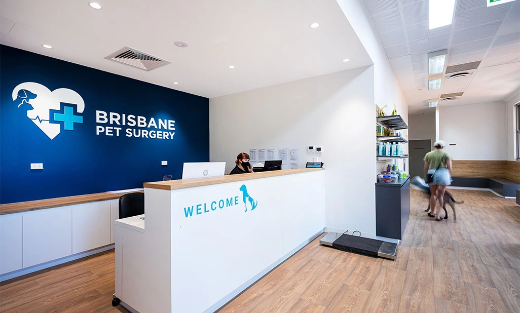 Our Clinic