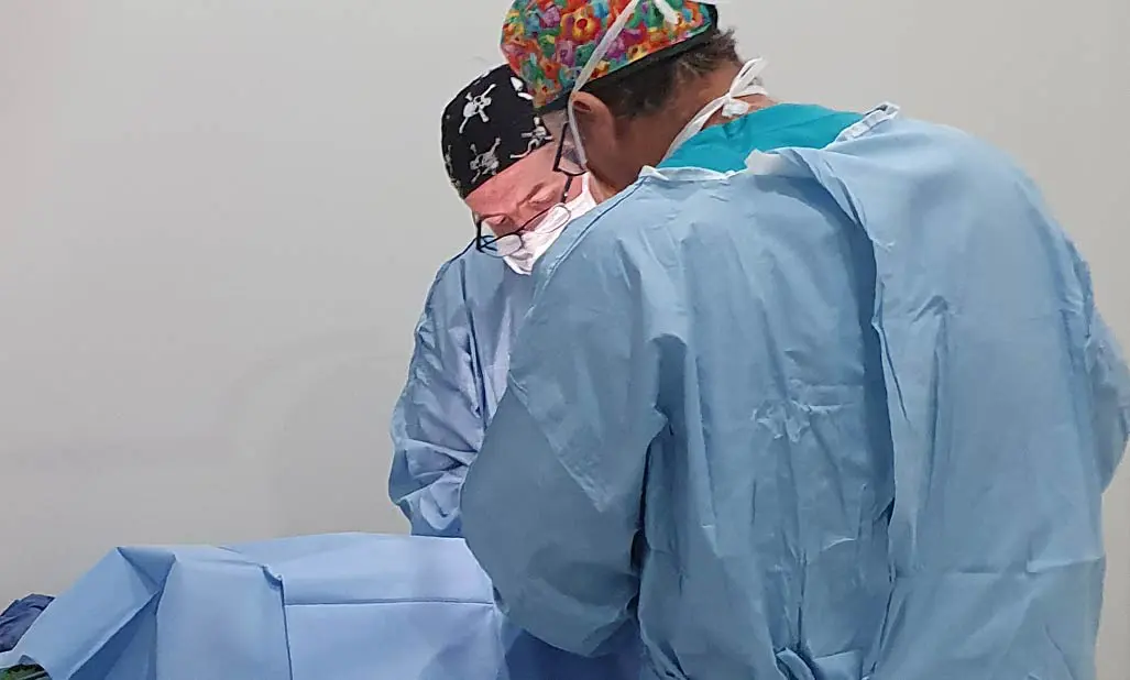 orthopaedic vet surgery