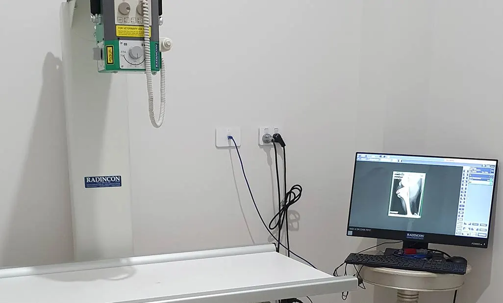 radiology