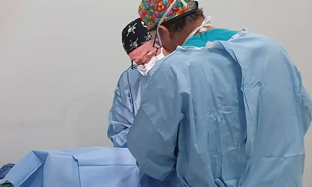 Pet Surgeries