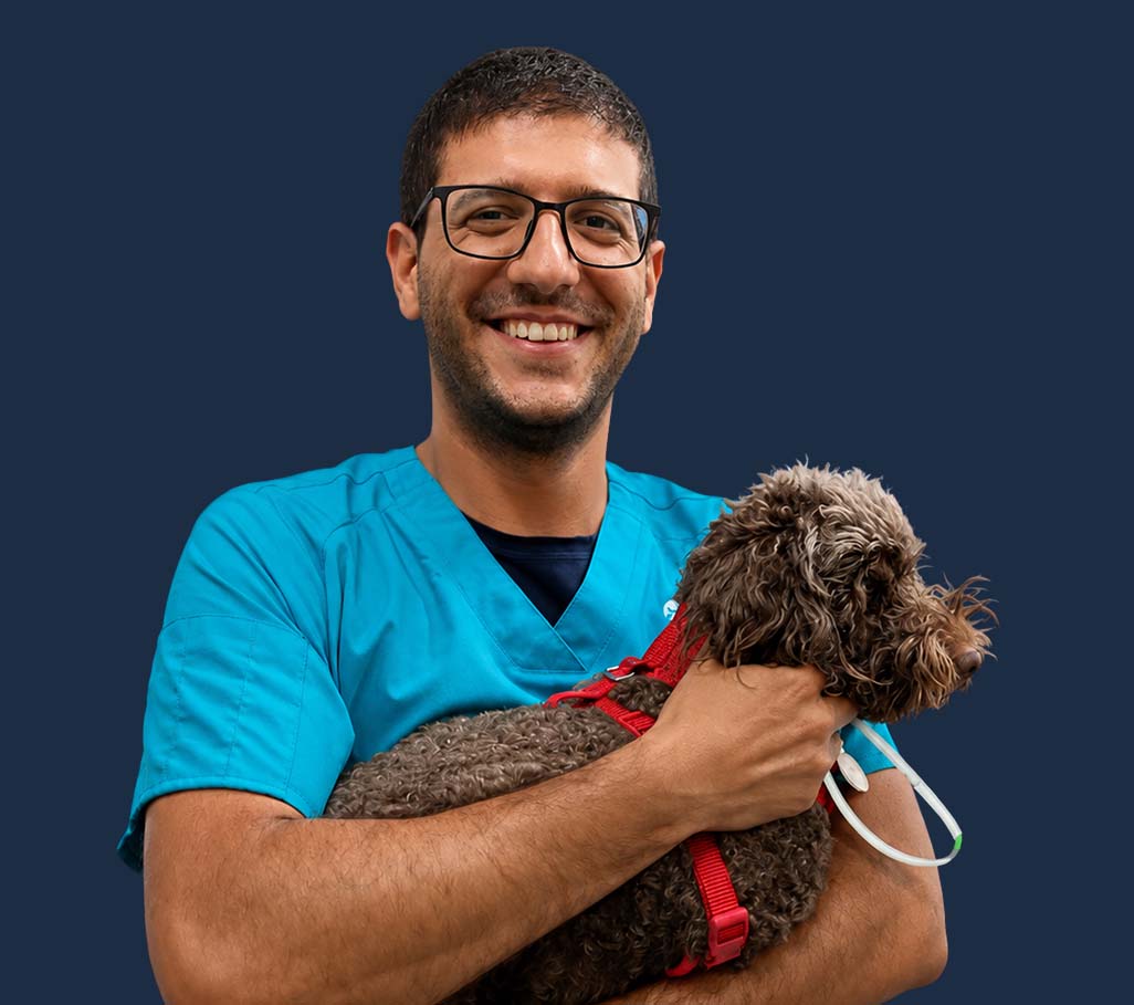 Dr. Eslam Akasha