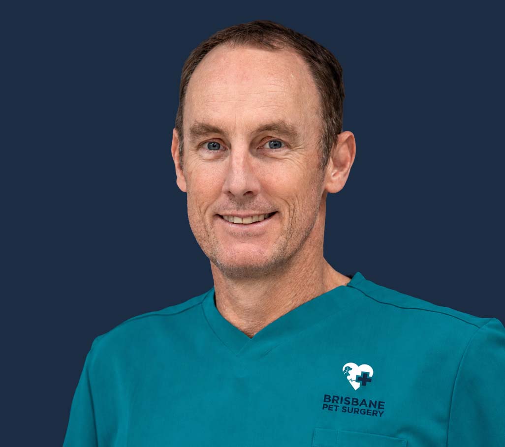 Dr. Scot Plummer