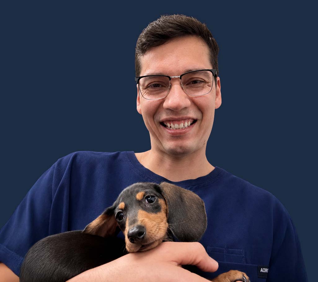 Sebastian